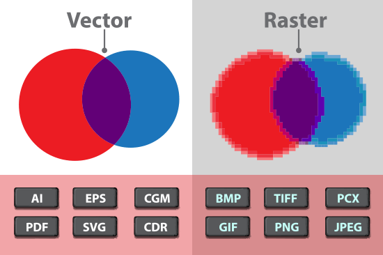 Vector vs Raster erklärt